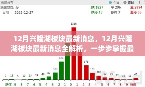掌握興隆湖板塊最新動(dòng)態(tài)，全面解析十二月最新消息