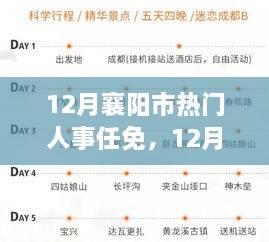 12月襄陽(yáng)市人事任免動(dòng)態(tài)，深度解析最新人事調整