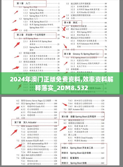 2024年澳門(mén)正版免費資料,效率資料解釋落實(shí)_2DM8.532