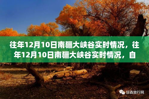 往年12月10日南疆大峽谷實(shí)時(shí)探訪(fǎng)，自然之美與探險之旅的壯麗畫(huà)卷
