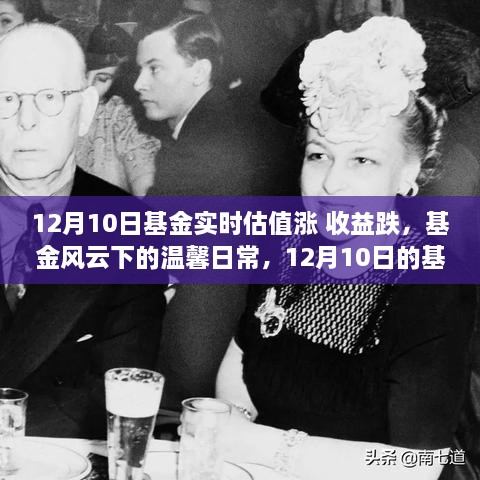 基金風(fēng)云下的溫馨日常，12月10日的基金小波折與友情故事