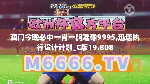 澳門(mén)今晚必中一肖一碼準確9995,迅速執行設計計劃_C版19.808