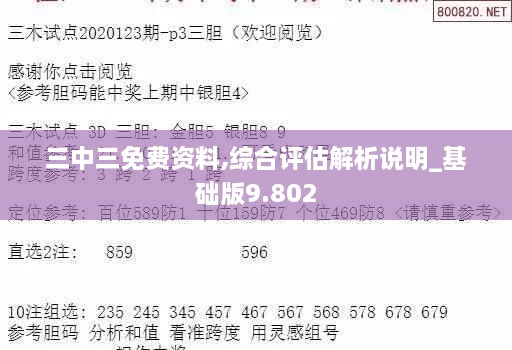 三中三免費資料,綜合評估解析說(shuō)明_基礎版9.802