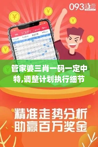 管家婆三肖一碼一定中特,調整計劃執行細節_MR3.233