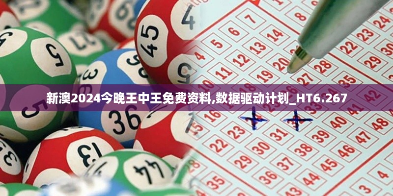 新澳2024今晚王中王免費資料,數據驅動(dòng)計劃_HT6.267
