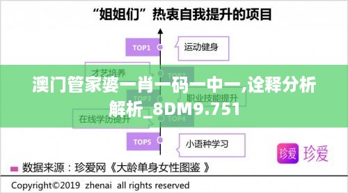 澳門(mén)管家婆一肖一碼一中一,詮釋分析解析_8DM9.751