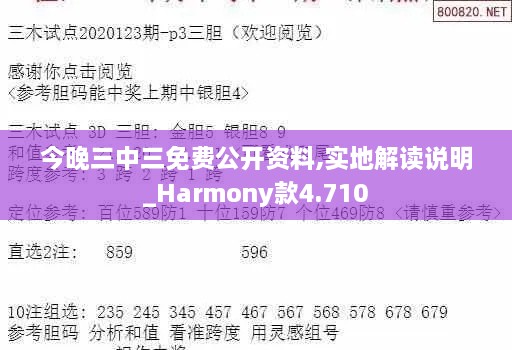 今晚三中三免費公開(kāi)資料,實(shí)地解讀說(shuō)明_Harmony款4.710