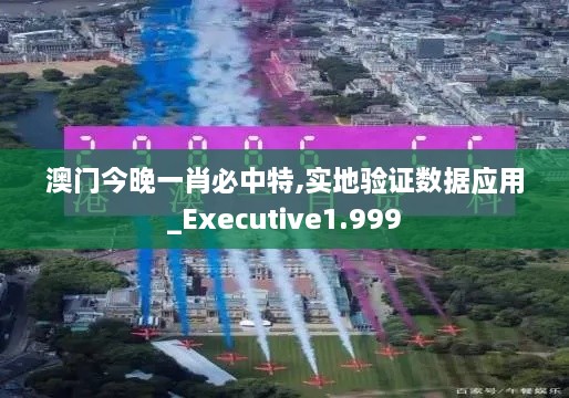 澳門(mén)今晚一肖必中特,實(shí)地驗證數據應用_Executive1.999
