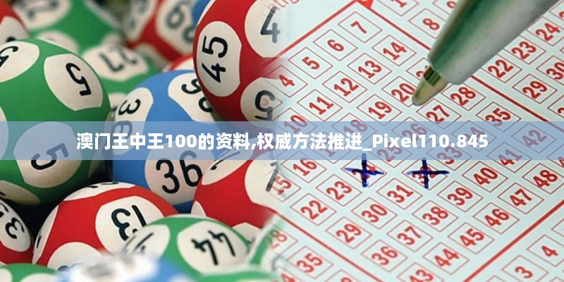 澳門(mén)王中王100的資料,權威方法推進(jìn)_Pixel110.845