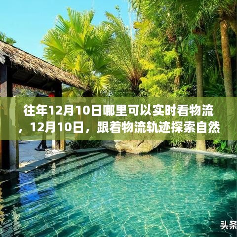 12月10日物流追蹤之旅，自然懷抱的心靈探索之旅