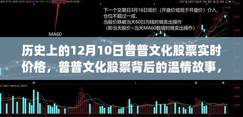 普普文化股票實(shí)時(shí)價(jià)格背后的溫情故事，友情與陪伴的溫馨日常紀實(shí)（十二月十日歷史回顧）