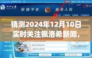 佩洛希新聞聚焦，預測并跟蹤佩洛希在特定日期的動(dòng)態(tài)指南（以2024年12月10日為例）
