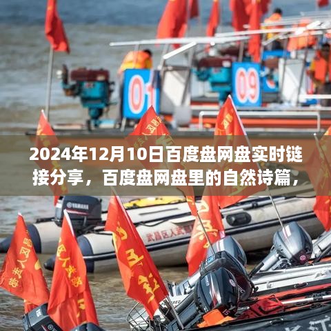 百度盤(pán)網(wǎng)盤(pán)心靈詩(shī)篇分享，一場(chǎng)實(shí)時(shí)鏈接的心靈之旅啟程（2024年12月10日）