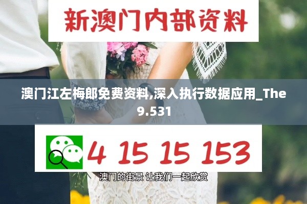 澳門(mén)江左梅郎免費資料,深入執行數據應用_The9.531