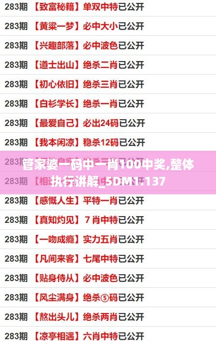 管家婆一碼中一肖100中獎,整體執行講解_5DM1.137