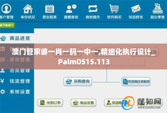 澳門(mén)管家婆一肖一碼一中一,精細化執行設計_PalmOS15.113