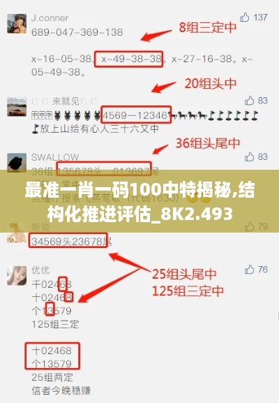 最準一肖一碼100中特揭秘,結構化推進(jìn)評估_8K2.493