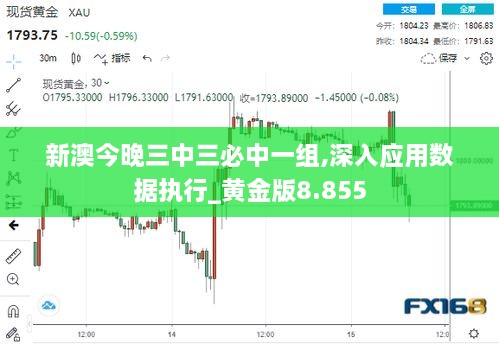 新澳今晚三中三必中一組,深入應用數據執行_黃金版8.855