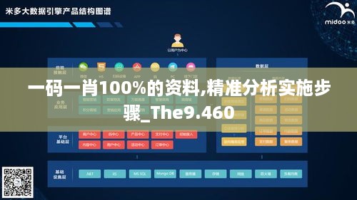 一碼一肖100%的資料,精準分析實(shí)施步驟_The9.460