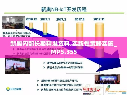 新奧內部長(cháng)期精準資料,實(shí)踐性策略實(shí)施_MP5.355