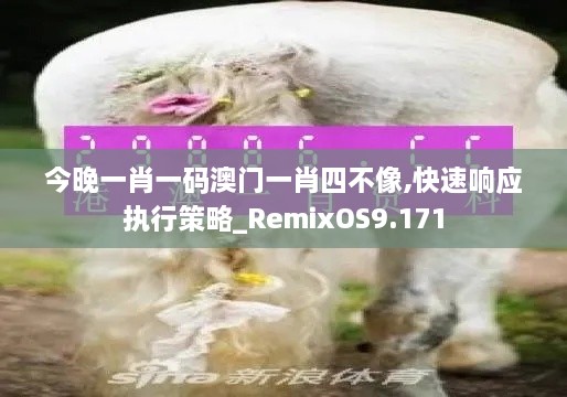 今晚一肖一碼澳門(mén)一肖四不像,快速響應執行策略_RemixOS9.171