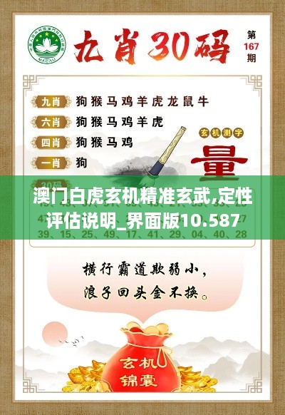 澳門(mén)白虎玄機精準玄武,定性評估說(shuō)明_界面版10.587