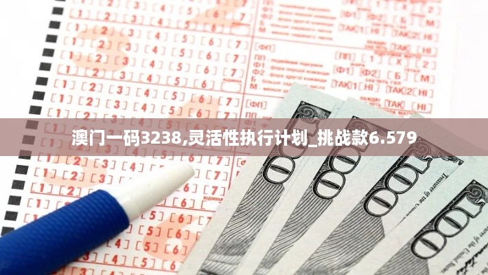 澳門(mén)一碼3238,靈活性執行計劃_挑戰款6.579