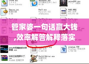 管家婆一句話(huà)贏(yíng)大錢(qián),效率解答解釋落實(shí)_ChromeOS2.756