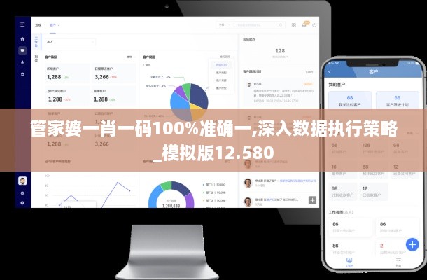 管家婆一肖一碼100%準確一,深入數據執行策略_模擬版12.580