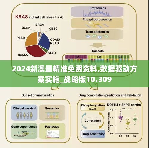 2024新澳最精準免費資料,數據驅動(dòng)方案實(shí)施_戰略版10.309