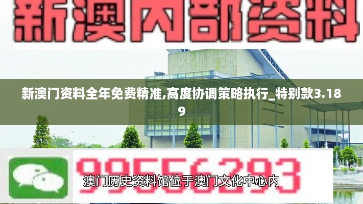 新澳門(mén)資料全年免費精準,高度協(xié)調策略執行_特別款3.189