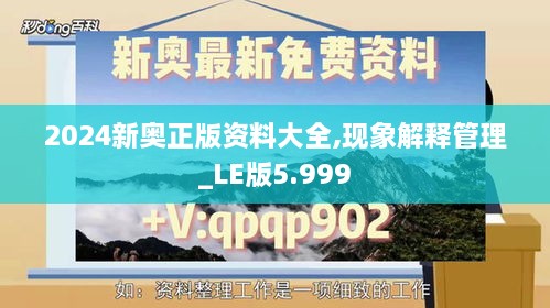 2024新奧正版資料大全,現象解釋管理_LE版5.999