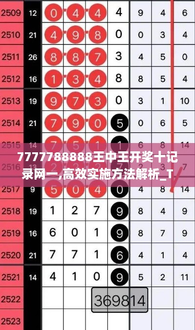 7777788888王中王開(kāi)獎十記錄網(wǎng)一,高效實(shí)施方法解析_Tizen2.756