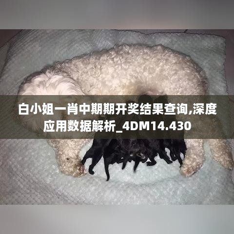 白小姐一肖中期期開(kāi)獎結果查詢(xún),深度應用數據解析_4DM14.430