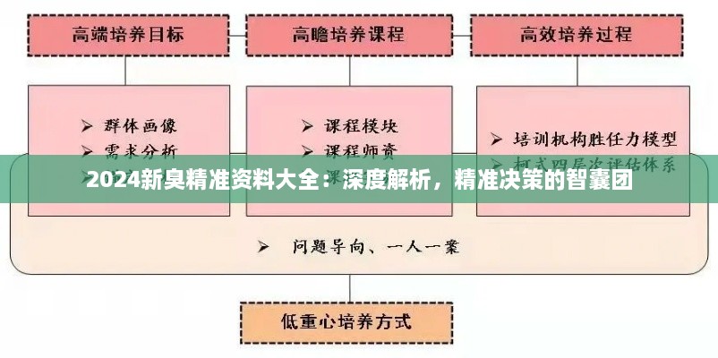 2024新臭精準資料大全：深度解析，精準決策的智囊團