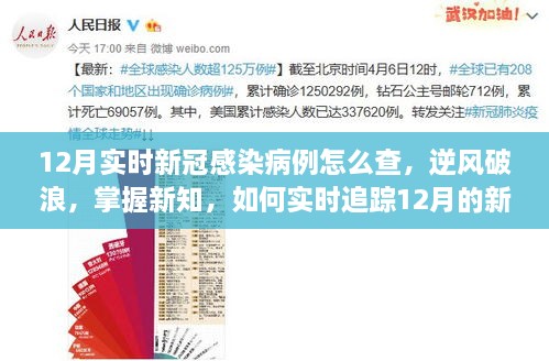 實(shí)時(shí)追蹤12月新冠感染病例，掌握新知，展現自信與力量