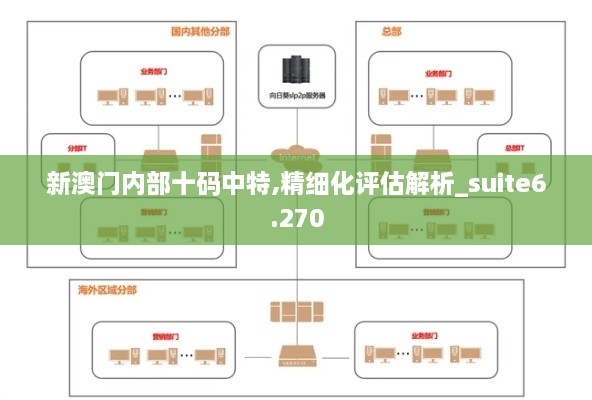 新澳門(mén)內部十碼中特,精細化評估解析_suite6.270