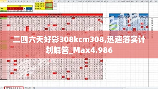 二四六天好彩308kcm308,迅速落實(shí)計劃解答_Max4.986