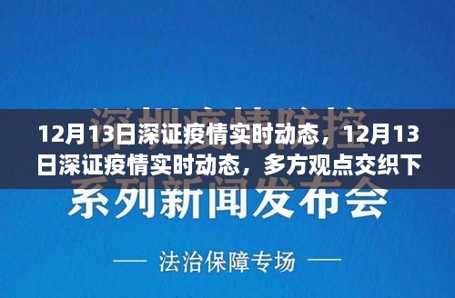 多方觀(guān)點(diǎn)交織下的洞察與反思，12月13日深證疫情實(shí)時(shí)動(dòng)態(tài)分析