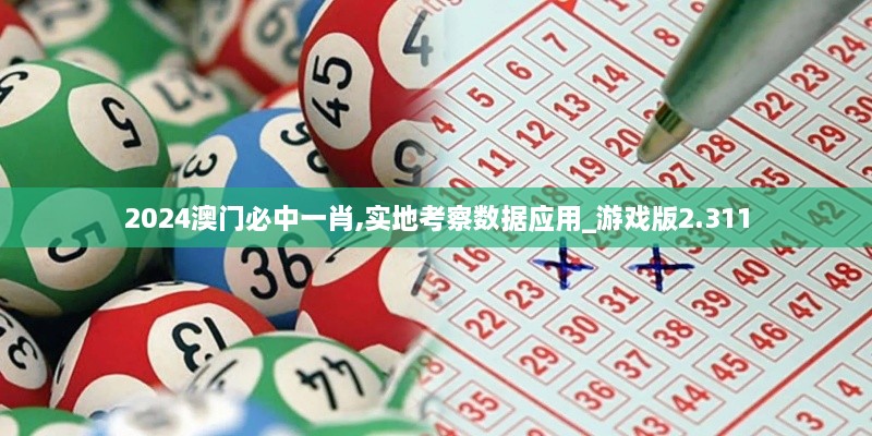 2024澳門(mén)必中一肖,實(shí)地考察數據應用_游戲版2.311