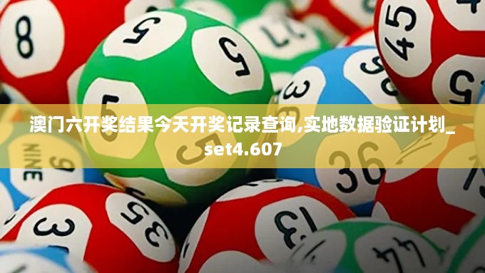 澳門(mén)六開(kāi)獎結果今天開(kāi)獎?dòng)涗洸樵?xún),實(shí)地數據驗證計劃_set4.607