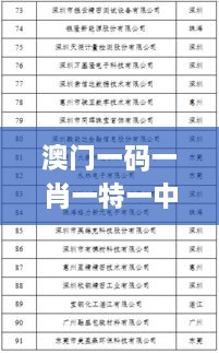 澳門(mén)一碼一肖一特一中是公開(kāi)的嗎,精細化說(shuō)明解析_XR11.605