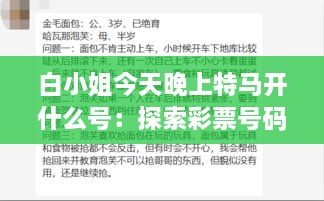 白小姐今天晚上特馬開(kāi)什么號：探索彩票號碼背后的心理博弈