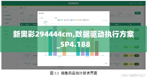 新奧彩294444cm,數據驅動(dòng)執行方案_SP4.188