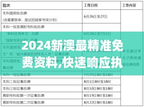 2024新澳最精準免費資料,快速響應執行策略_R版8.443