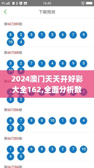 2024澳門(mén)天天開(kāi)好彩大全162,全面分析數據執行_DX版14.628