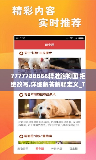 7777788888精準跑狗圖 拒絕改寫(xiě),詳細解答解釋定義_Tablet6.153