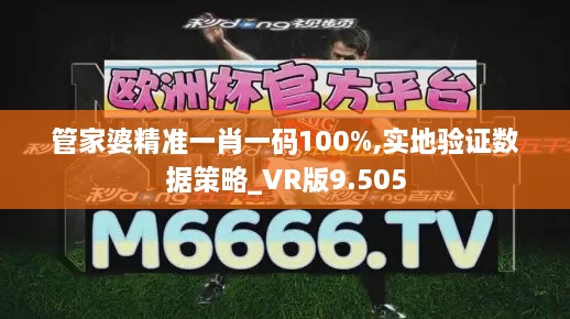 管家婆精準一肖一碼100%,實(shí)地驗證數據策略_VR版9.505