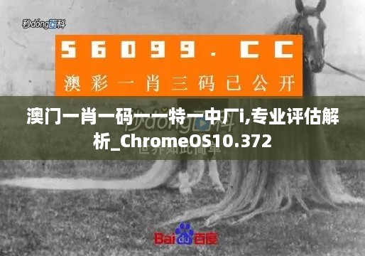 澳門(mén)一肖一碼一一特一中廠(chǎng)i,專(zhuān)業(yè)評估解析_ChromeOS10.372