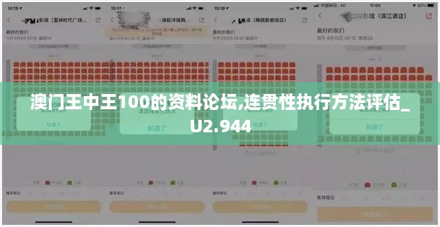 澳門(mén)王中王100的資料論壇,連貫性執行方法評估_U2.944